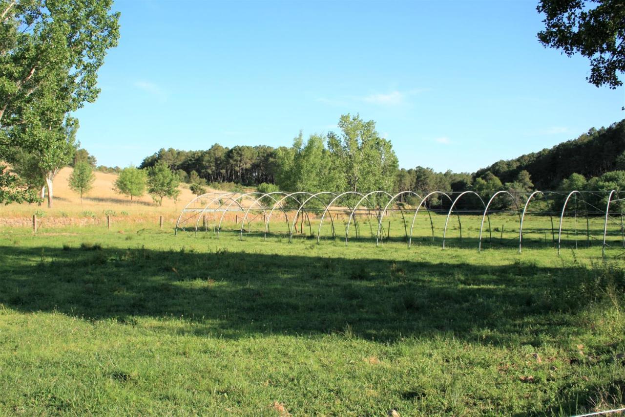 Casa Rural - Complejo El Tejar De Las Canadas Candeleda Eksteriør bilde